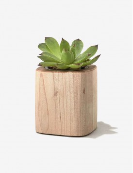 Ahşap Saksı